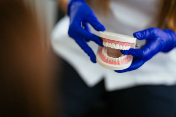 Best Preventive Dentistry  in Perry, LA